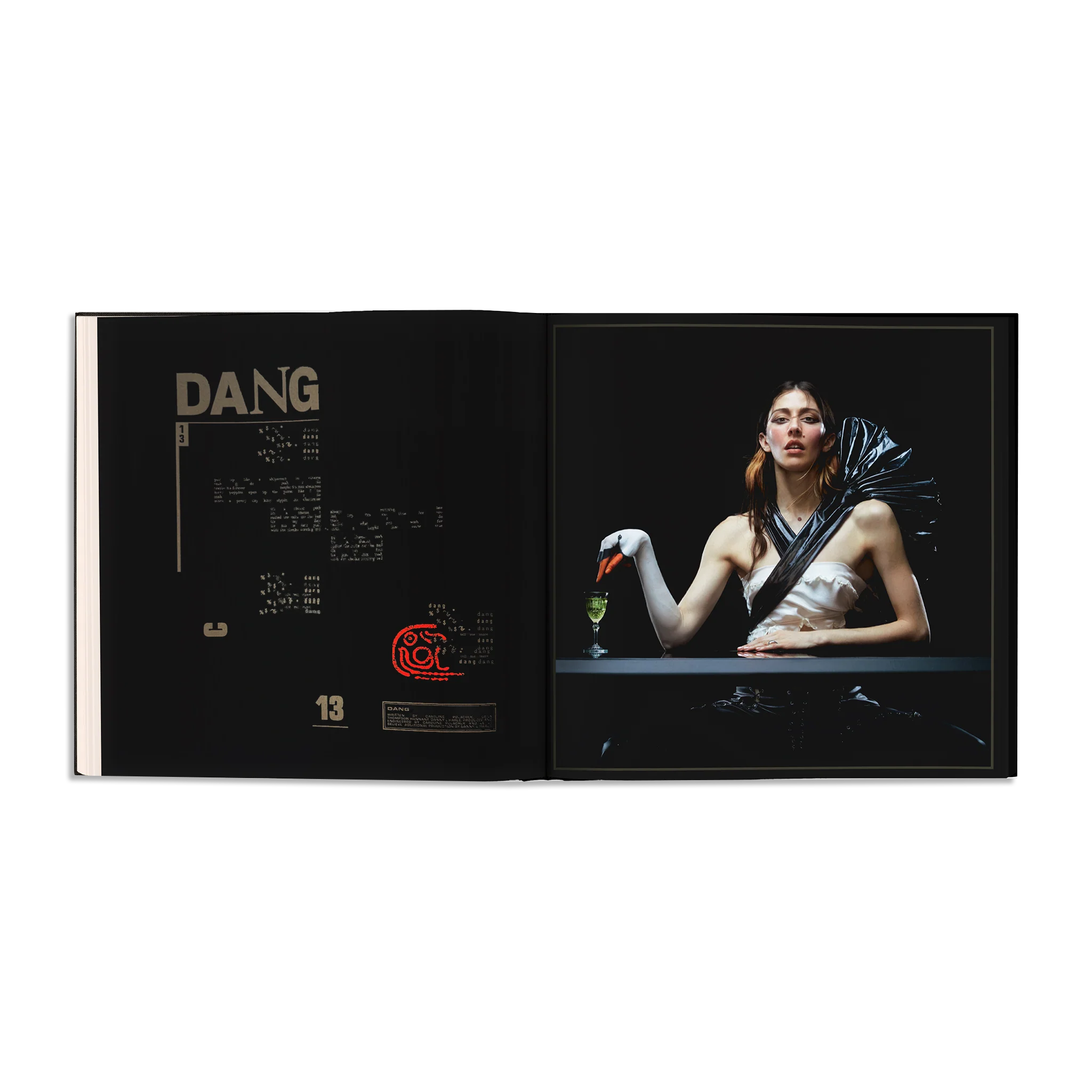 DESIRE, I WANT TO TURN INTO YOU LP: EVERASKING EDITION - Image 10