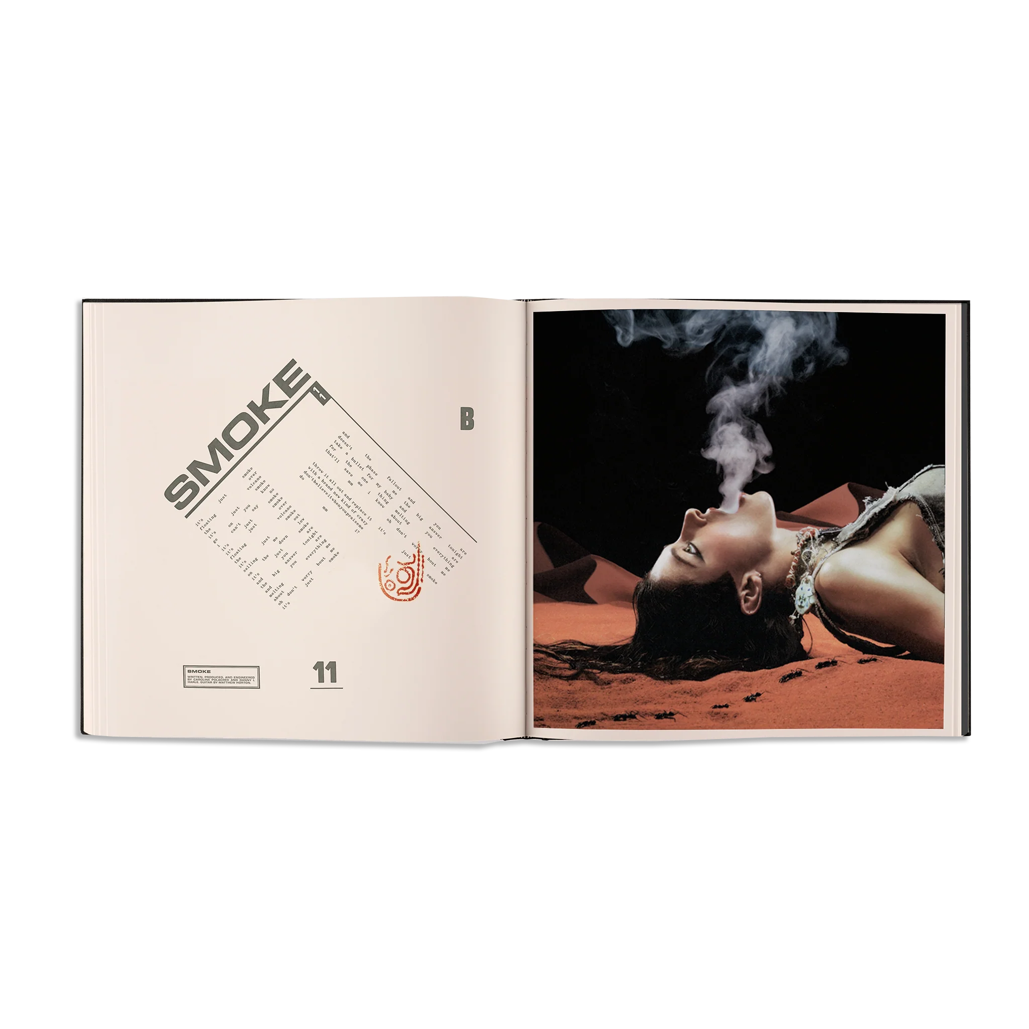 DESIRE, I WANT TO TURN INTO YOU LP: EVERASKING EDITION - Image 7